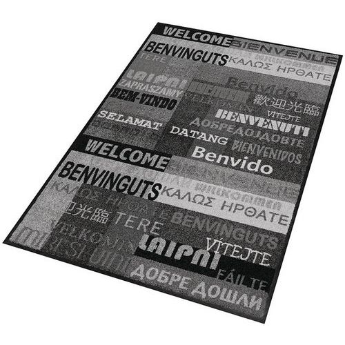 Vnitřní čisticí rohož Déco Design™ New Welcome