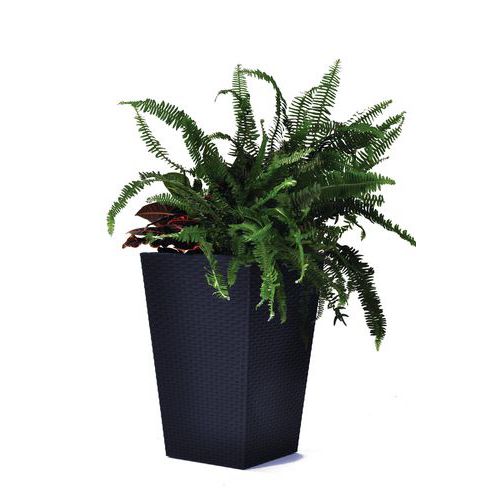Květináč Rattan S