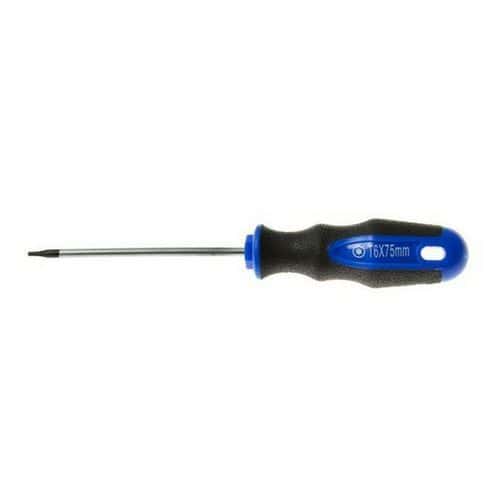 Šroubovák TORX t6 x 75mm GEKO Vyrobeno ze silné chrom vanadiové oceli<br />Magnetická špička<br />Rukojeť s praktickým otvorem k zavěšení<br />Rukojeť s měkkým úchopem ze dvou materiálů (plast + guma)